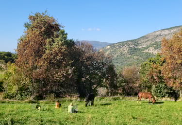 a group of people relaxing and sitting on a field with grazing horses