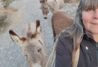 A woman takes a selfie with friendly donkeys, on a gravel path during an outdoor nature hike. 