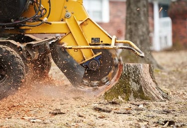 stump grinding services in covington