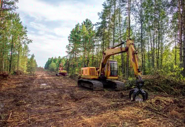 land clearing services Louisiana 