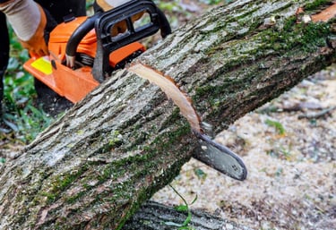 tree trimming services covington