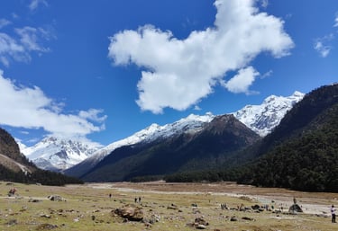 LACHUNG HOMESTAY