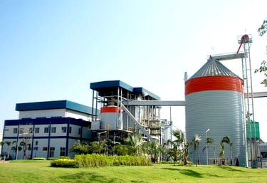 raw rice husk for biomass fuel