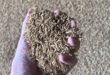 raw rice husk is organic fuel material