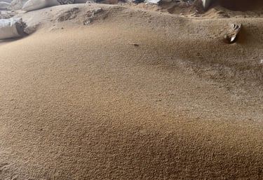 raw rice husk is an organic material agricultural byproduct
