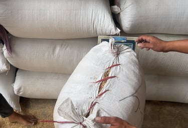 raw rice husk bulk inquiry for buyer needs