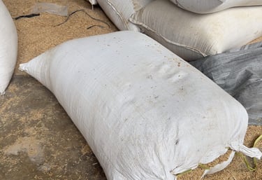 raw rice husk for buyer intended use