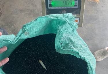 rice husk ash suits the buyer specific qualification