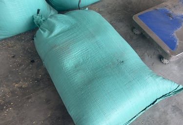 Rice husk ash for cement and concrete applications