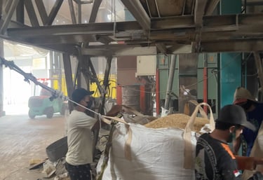 raw rice husk that will suit on buyer requirements