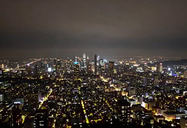 A wide-angle landscape of city lights at night from a high altitude, glowing in mist grey and deep midnight, representing global connectivity.