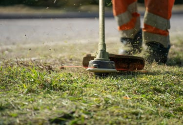 Strimming and Brush cutting Garden clearance Bridgwater Somerset UK