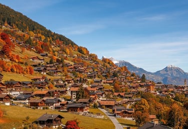 cadastre-troistorrents