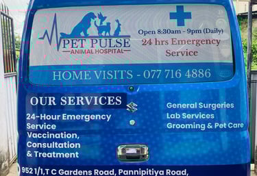 pet pulse animal hospital battaramulla pet pick up and drop off service for veterinary care