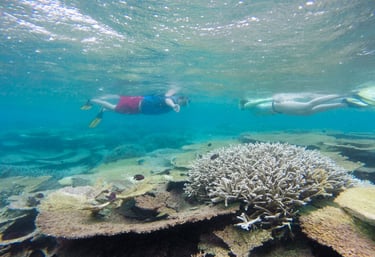 Two people snorkeling over a vibrant coral reef with tropical fish in clear blue ocean water.