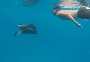 A man snorkeling underwater in clear blue ocean water alongside a large manta ray.