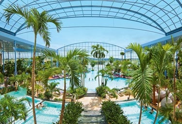 Palmenparadies in der Badewelt Sinsheim