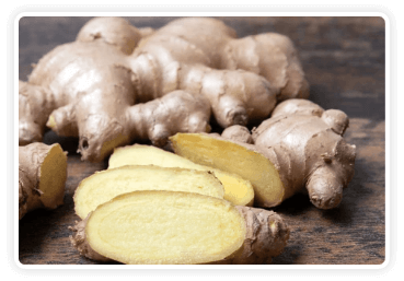 Ingrediant-Himalayan Mountain Ginger
