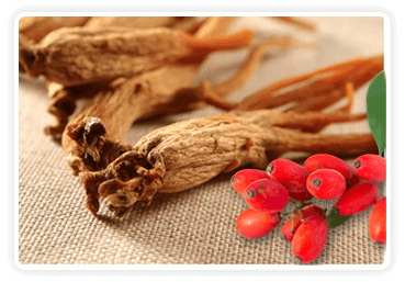 Ingrediant-Korean Red Ginseng
