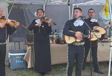 A traditional mariachi band in black charro suits performing with violins and guitars under a white canopy.