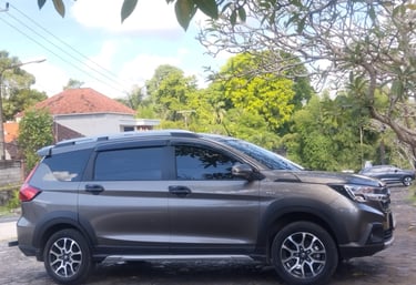 bali car driver