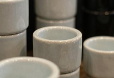 Closeup photography focusing on the premium moisture-resistant ceramic textures and modern sanitaries colors on display, reflecting fine craftsmanship.