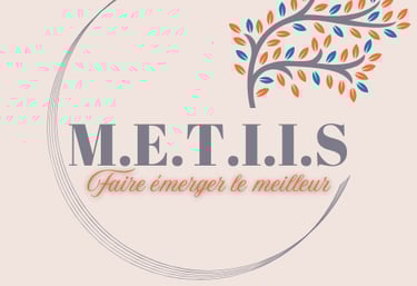 logo de M.E.T.I.I.S, écosystème spécialiste de la réussite professionnelle