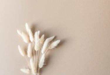 Accompagnement en naturopathie pour retrouver équilibre et vitalité