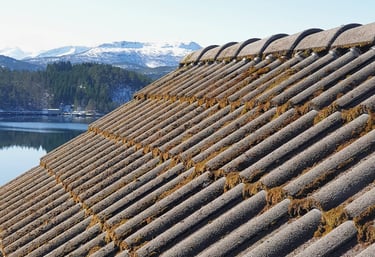 Takvask før vi vasket