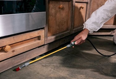 professional cockroach control treatment