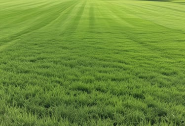 A vibrant desert garden with blooming succulents and neatly arranged stone pathways under a clear blue sky.