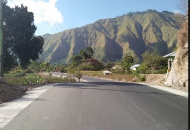 Paved mountain road winding through a lush valley under a bright blue sky with scenic peaks.