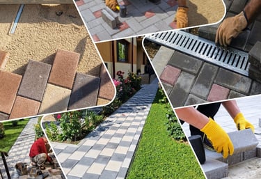 montaj pavele paviprof