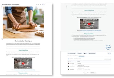 Brightspace completion tracker showing learner progress and completed course activities.