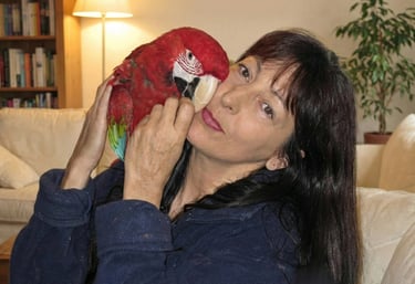 A woman cuddling a vibrant red macaw parrot in a cozy living room setting.