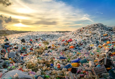 Sustainability with no plastic or AI use