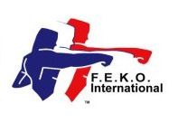 FEKO International