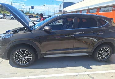 prepurchase car inspection sydney
