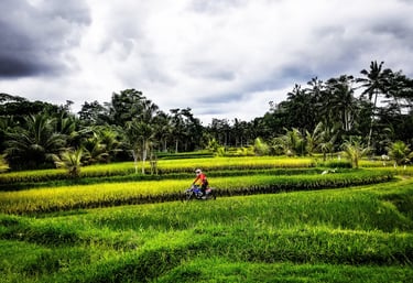 dirt bike tours Bali