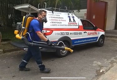 dedetização