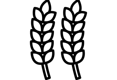 wheat bran substrate
