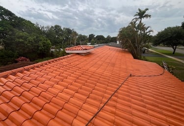 roof soft washing services, roof cleaning services, roof cleaning company near me