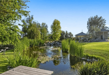 a pond with a wooden deck 