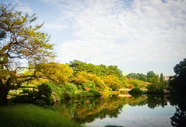 Shinjuku Gyoen Garden Pond