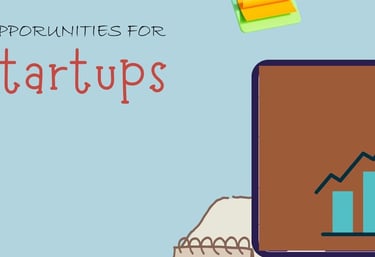 D2C startup founder reviewing SathiPe services for business growth and support.