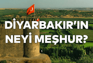 Diyarbakır'ın Neyi Meşhur?