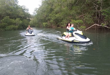 Jet ski tour through mangrove river in Guanacaste, Costa Rica