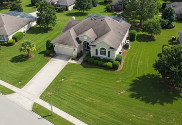 Expert landscaping and yard clean-up services in Sebring, Florida by Threefold