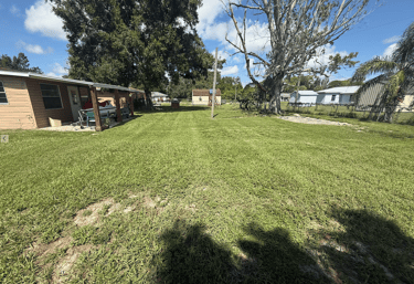 Expert landscaping and yard clean-up services in Sebring, Florida by Threefold