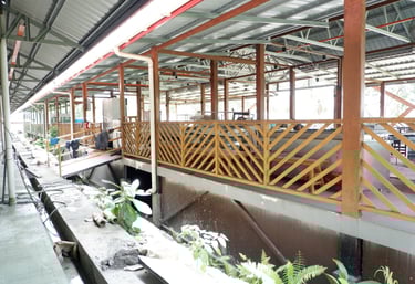 Signal Seafood Steamboat by GlobalKitc at KPD Avenue Kota Kinabalu
